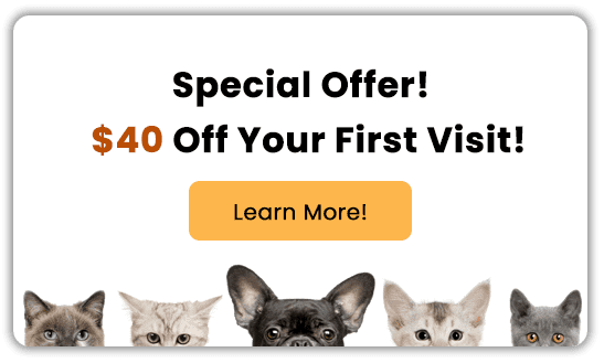 $40 Off Your First Visit! Learn More!
